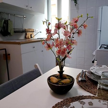 Casa Paolina A Metro San Paolo Daire Roma Dış mekan fotoğraf